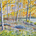 Watercolor - Colorado Autumn Forest and Landscape