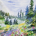 Watercolor - Colorado Summer Scene