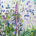 Watercolor - Lupine Wildflowers
