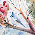 Watercolor - Tufted Titmouse with Winter Berries